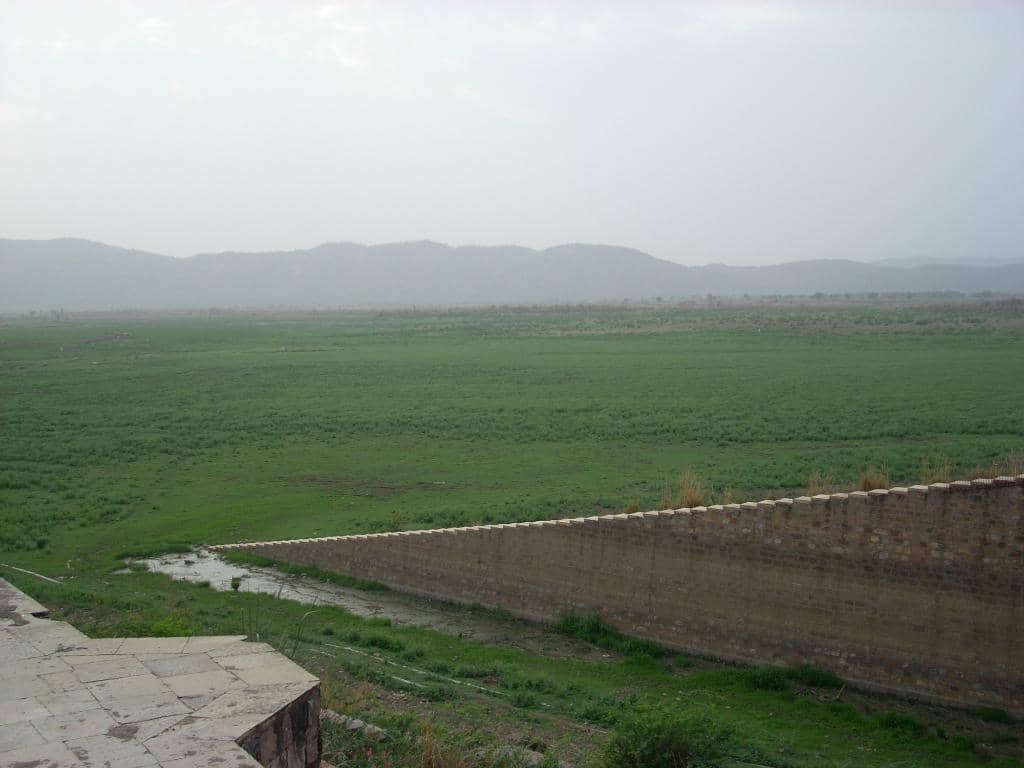 Monsoon Greenery