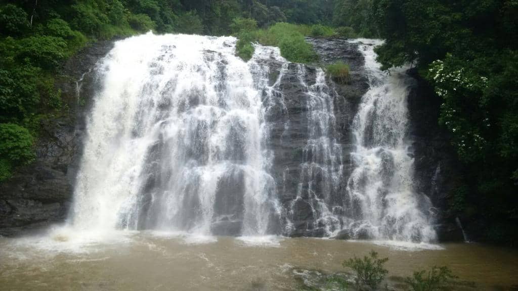 Refreshing Natural Pool