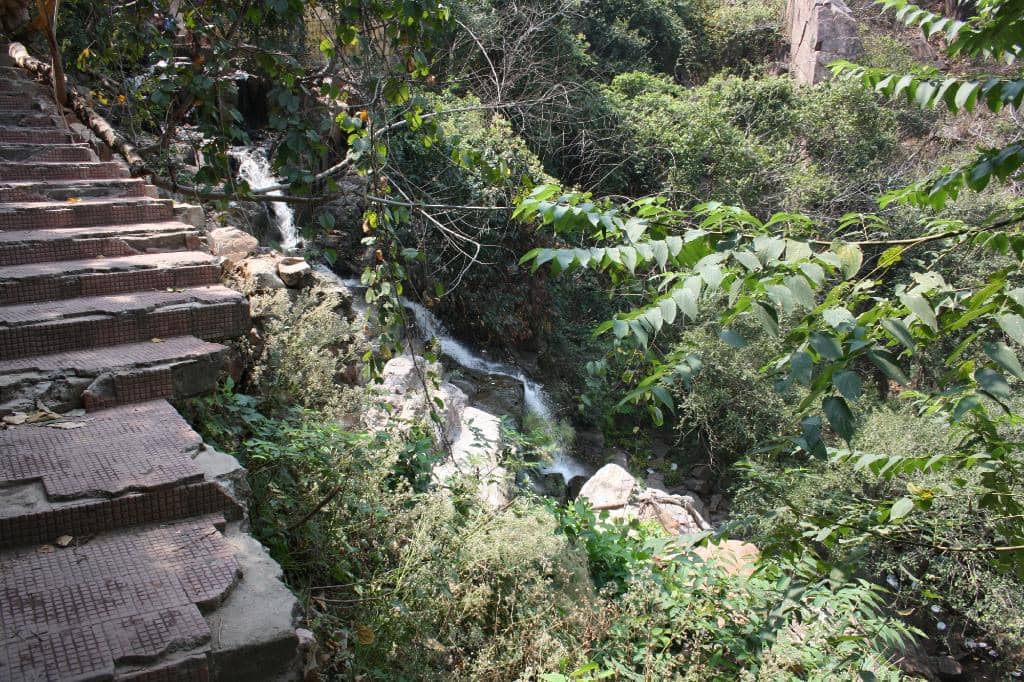 Kid-Friendly Park Area