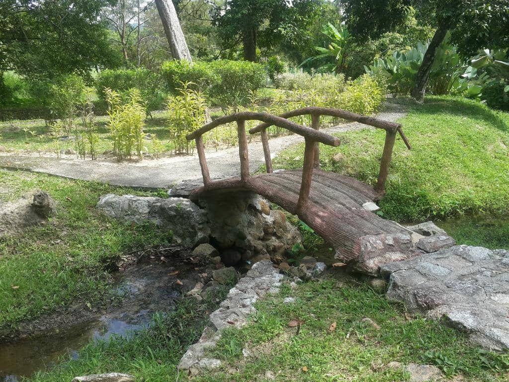 Dream Forest Attraction