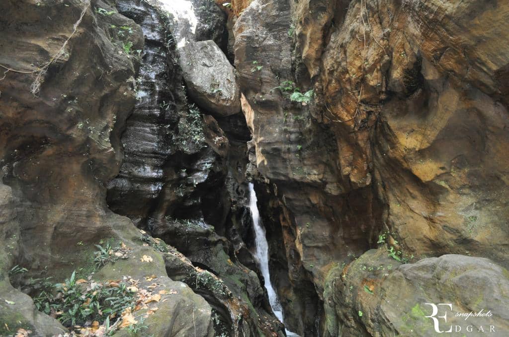 Refreshing Natural Pool