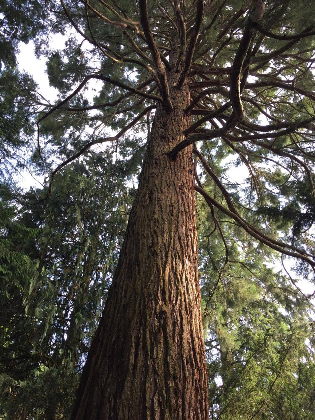 Vertical photo