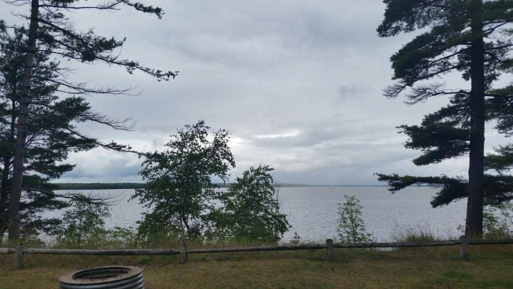 Bald Eagle Sightings