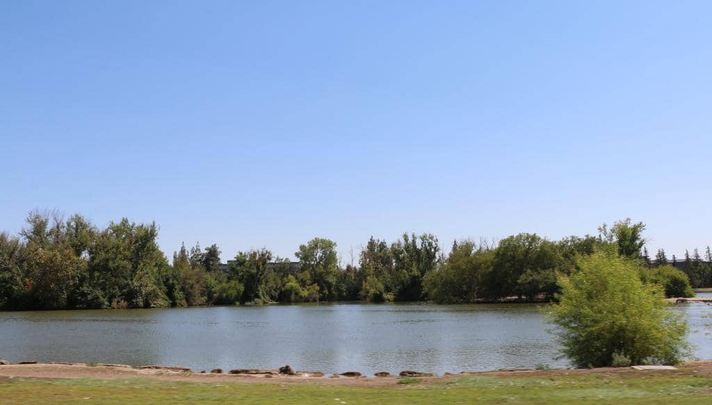 Lewis & Eaton Trail