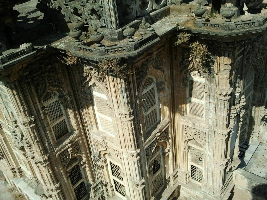 Vertical photo