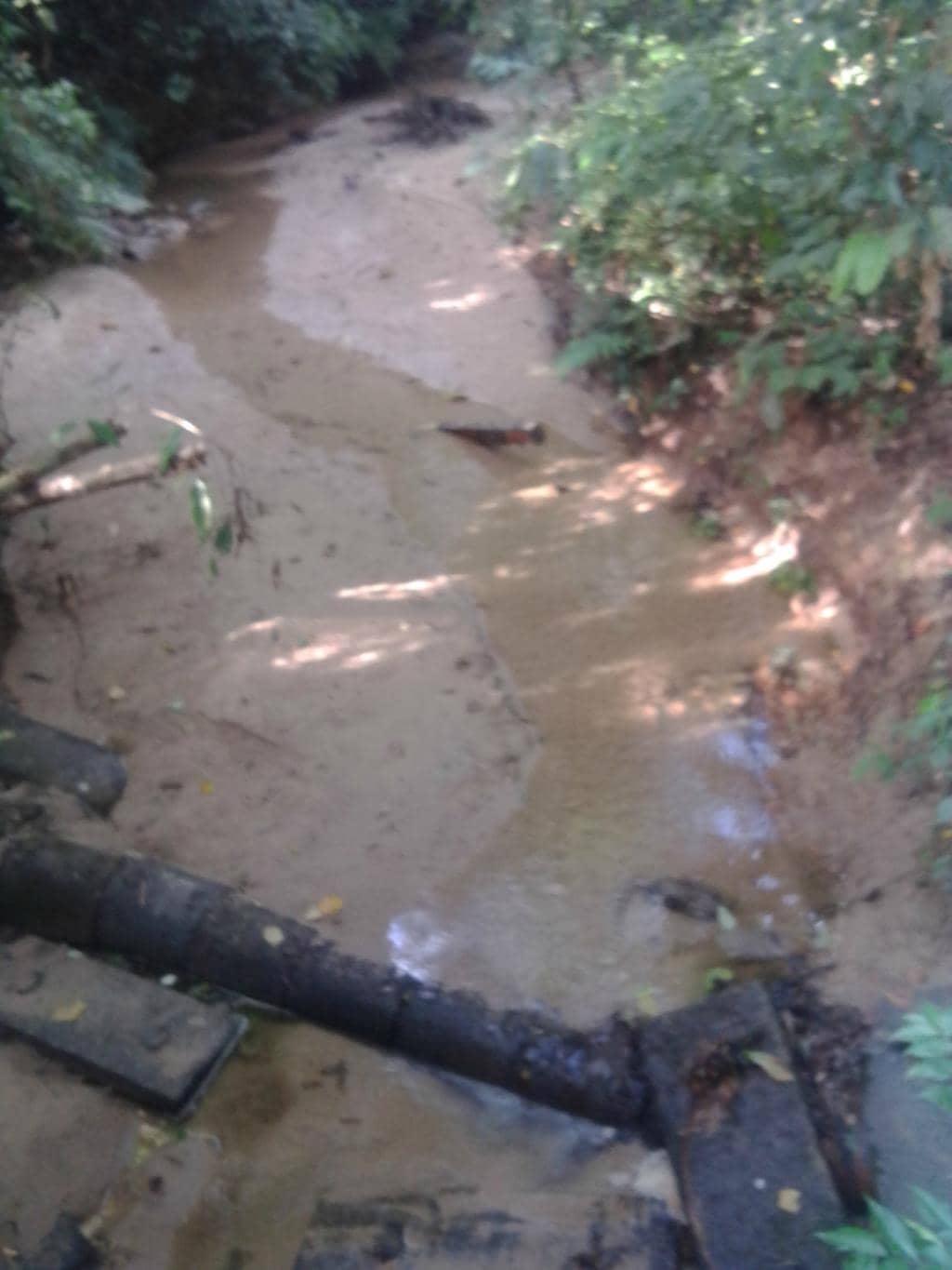 The Scenic Rail Line