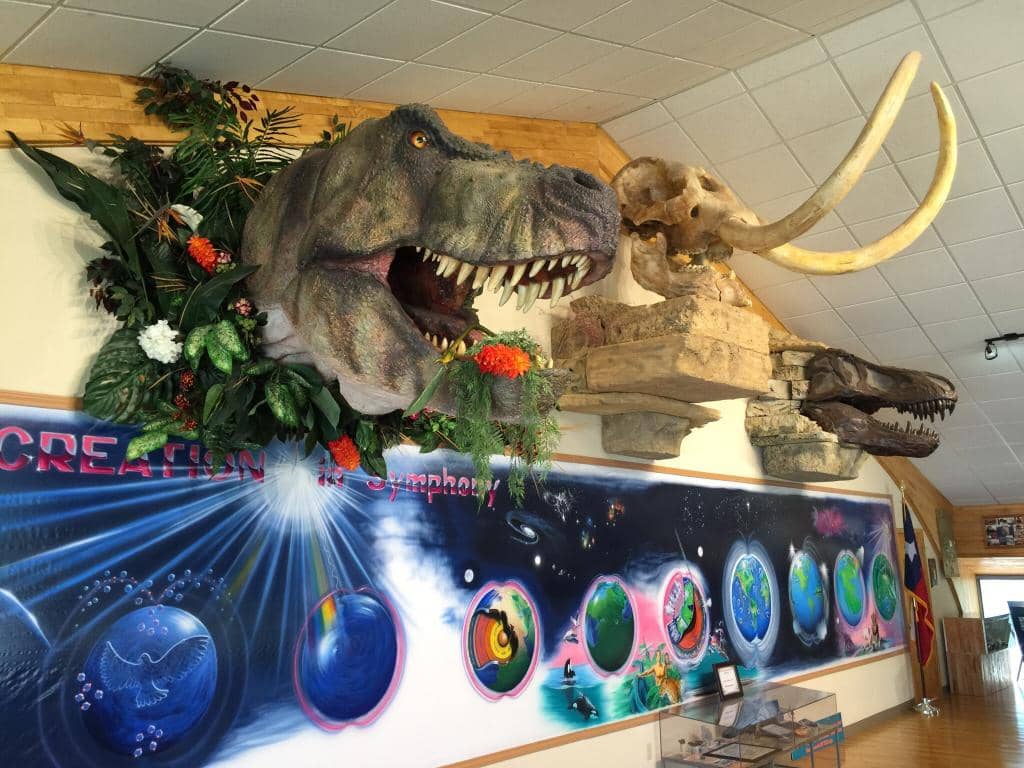 Dinosaur Models & Fossils