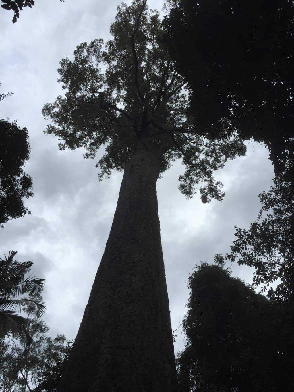 Vertical photo