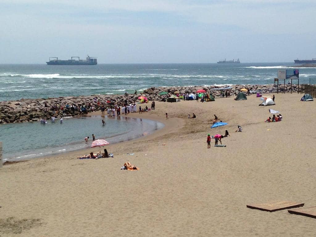 Whale Watching Opportunities