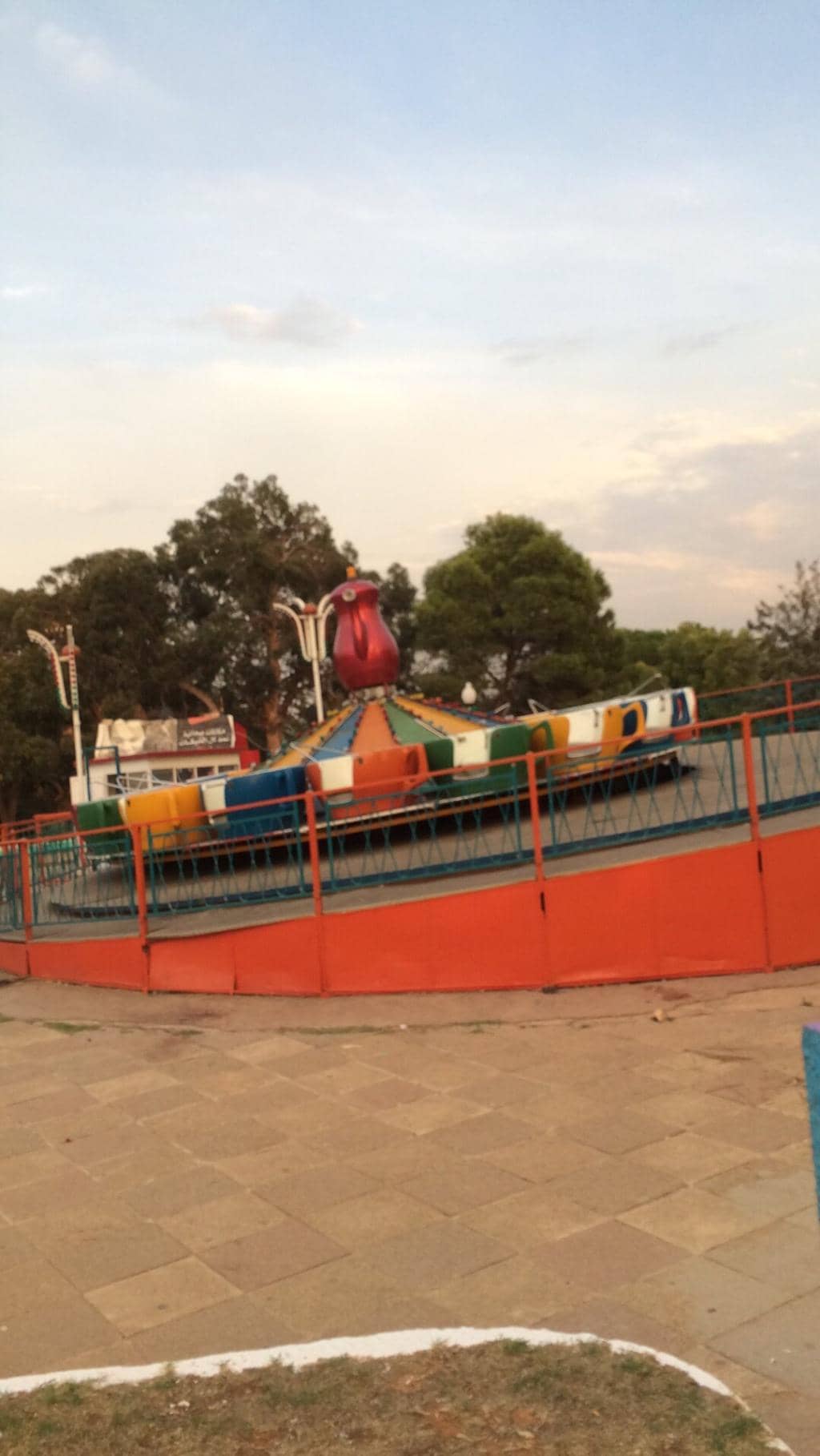 Diverse Animal Collection