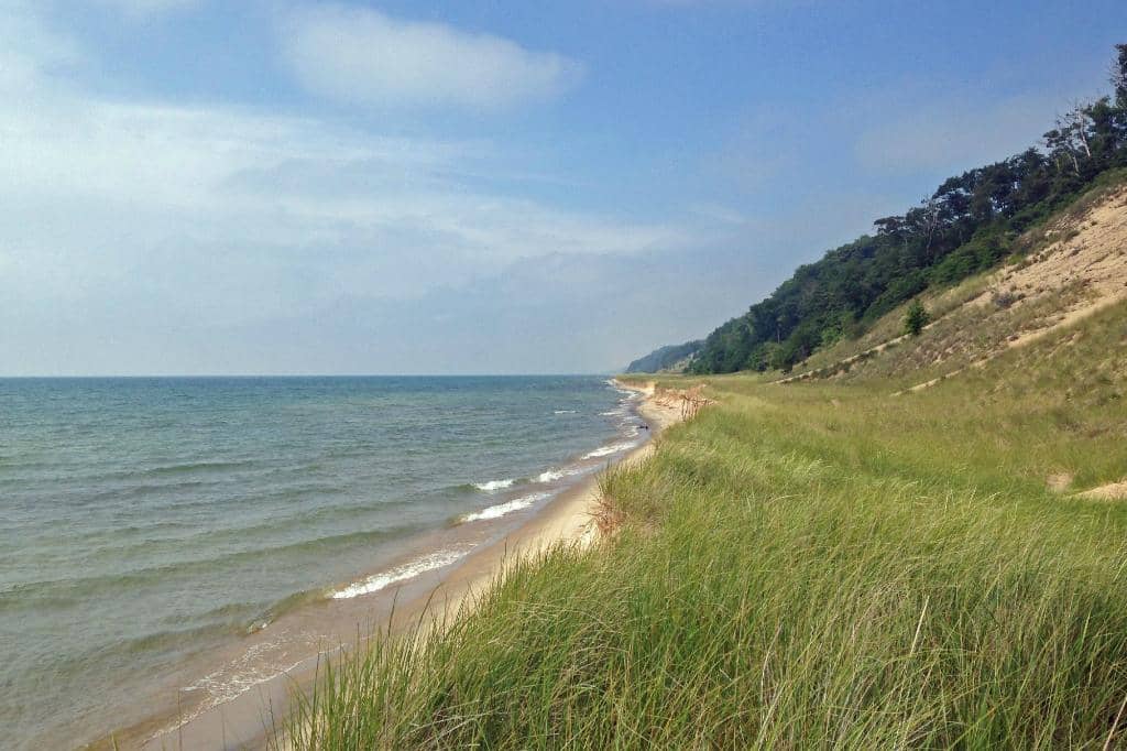 Wooded Hiking Trails