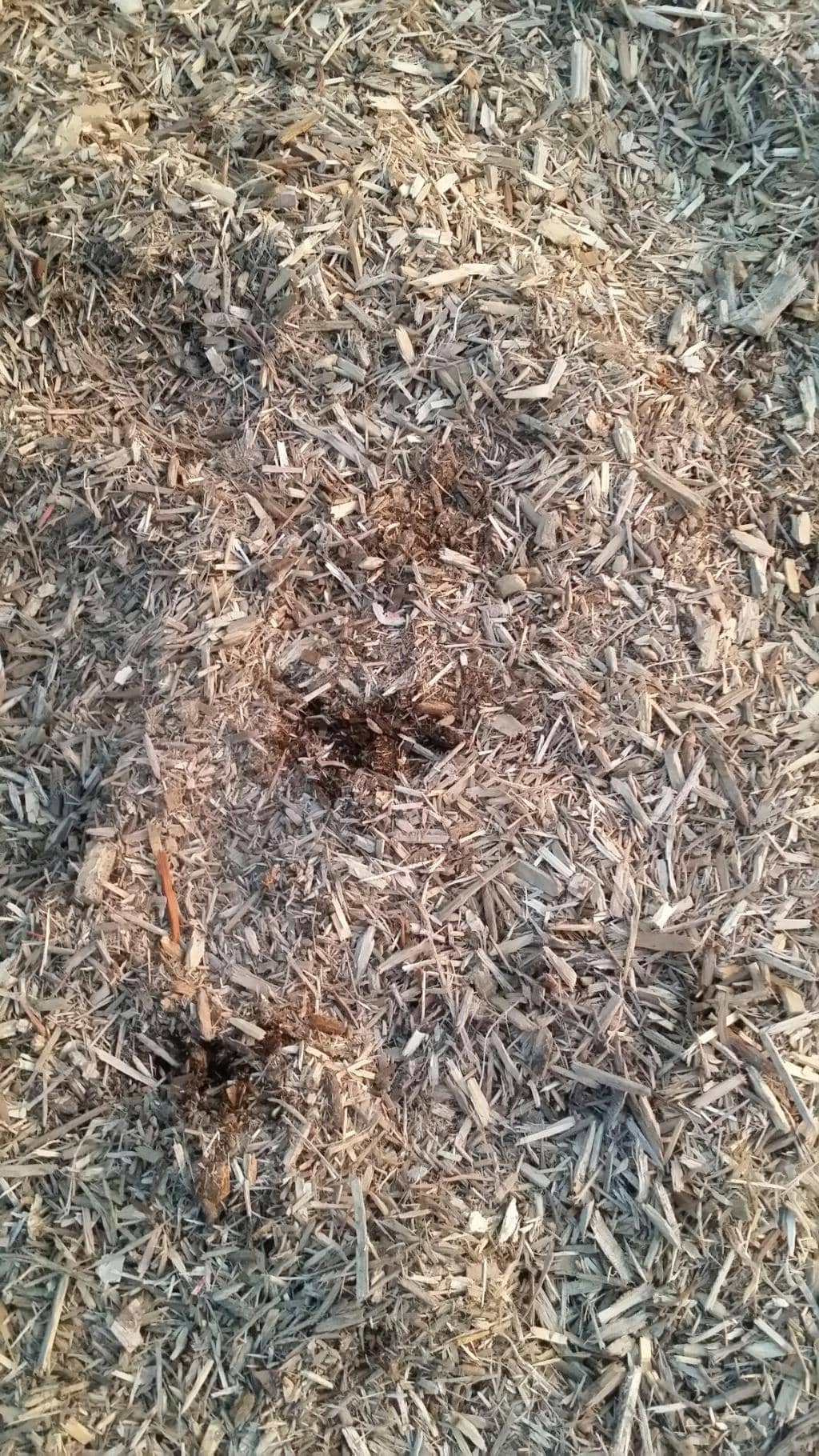Vertical photo