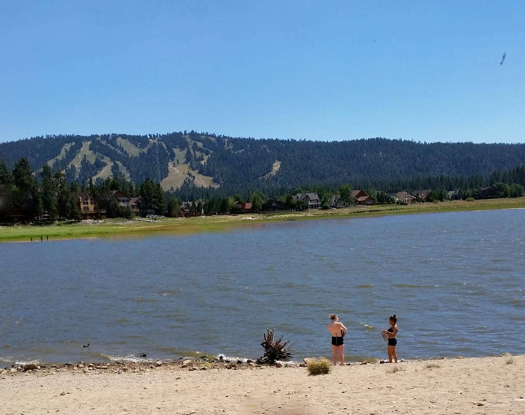Playground & Picnic Areas