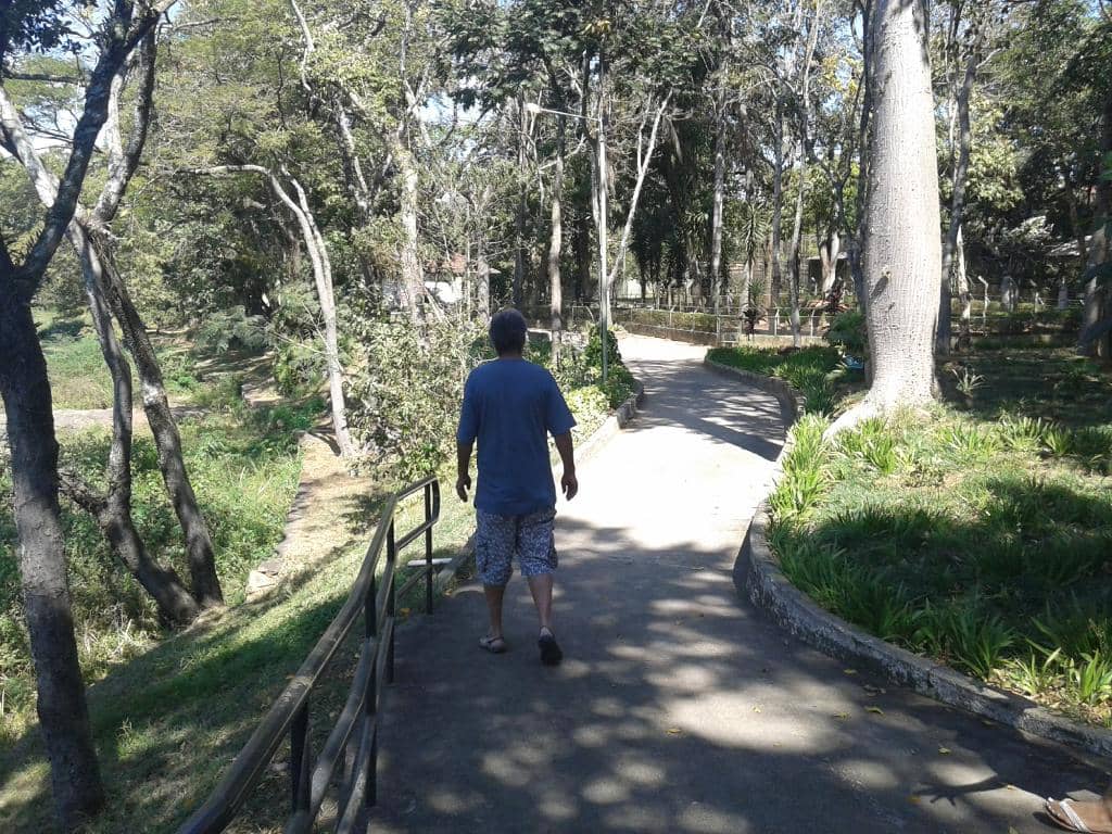 Parque Estoril's Natural Beauty