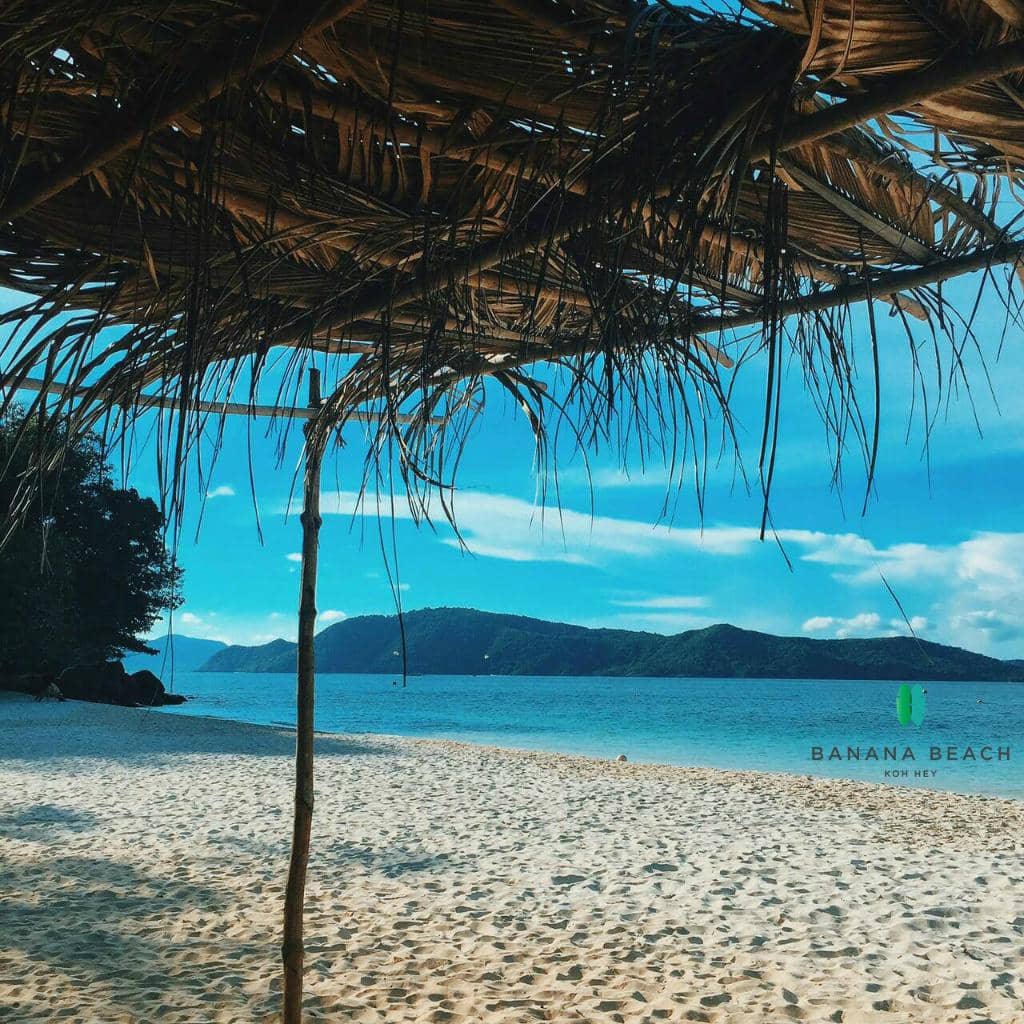 Exotic Bird Sightings