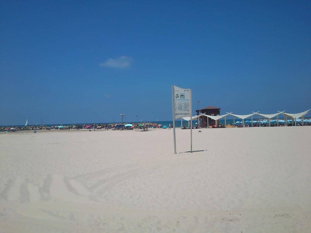 Beachside Cafes & Rentals