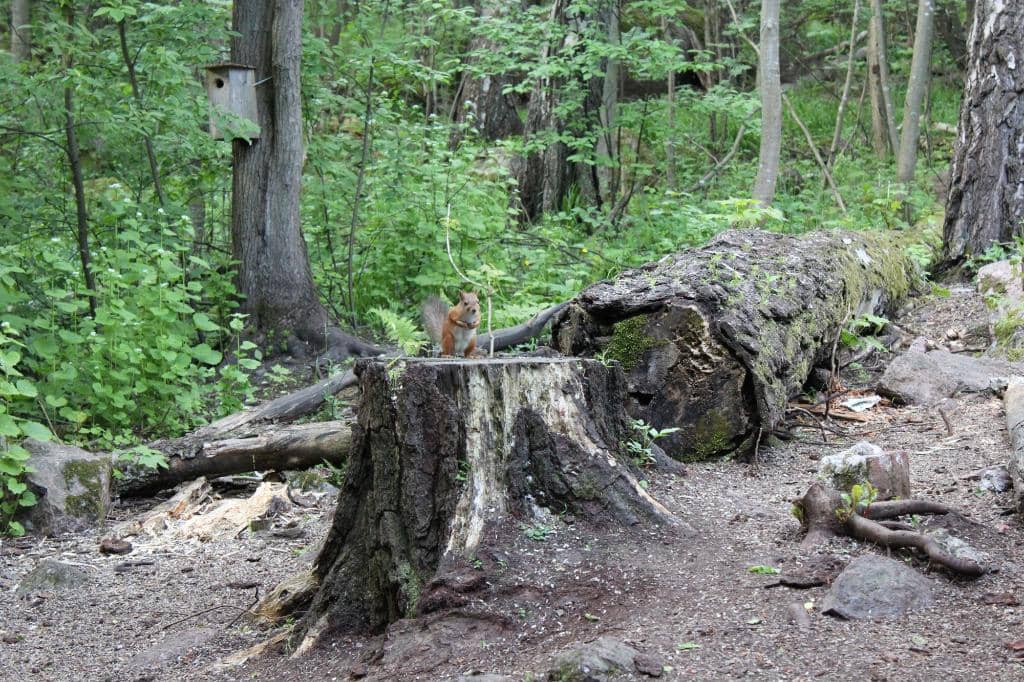 Panoramic Hilltop Views