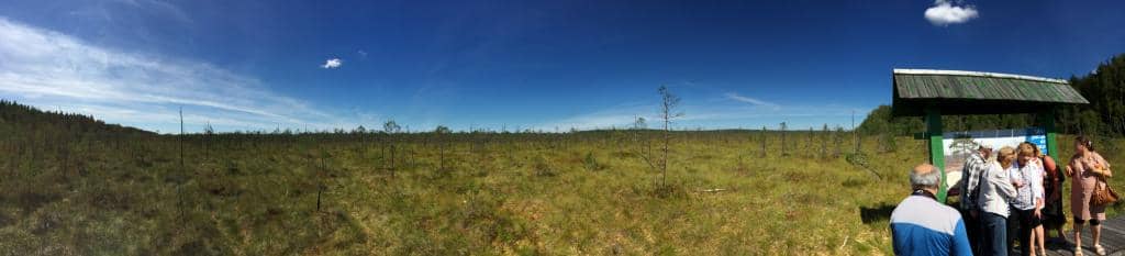 Untouched Wilderness