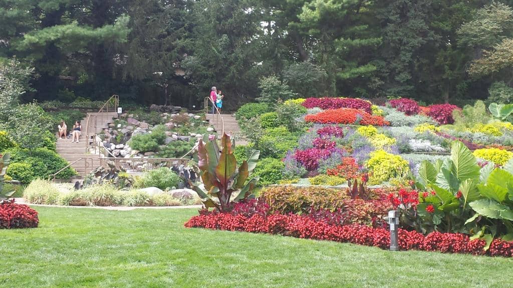 Tranquil Lily Ponds