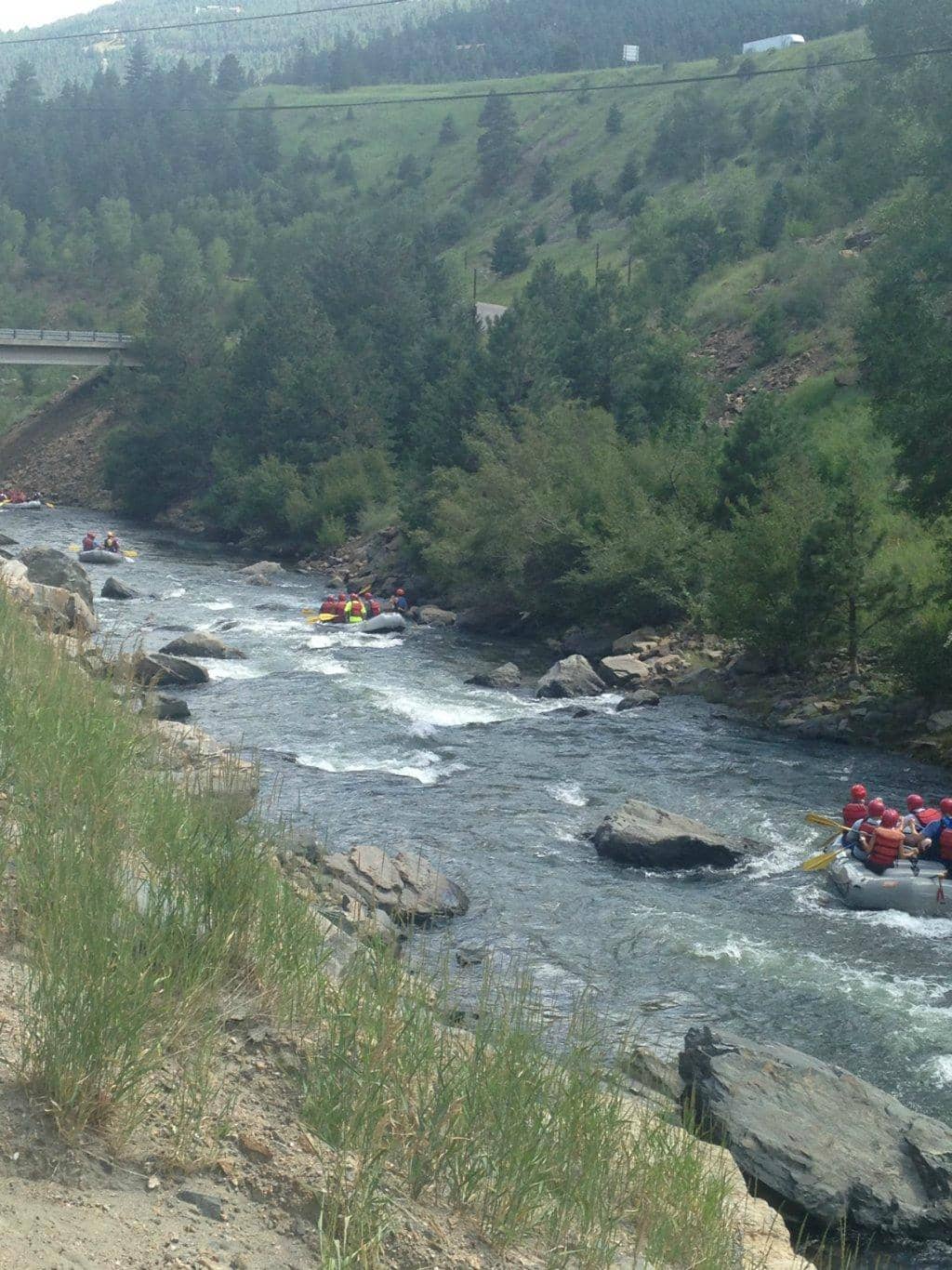 Included Digital Photos