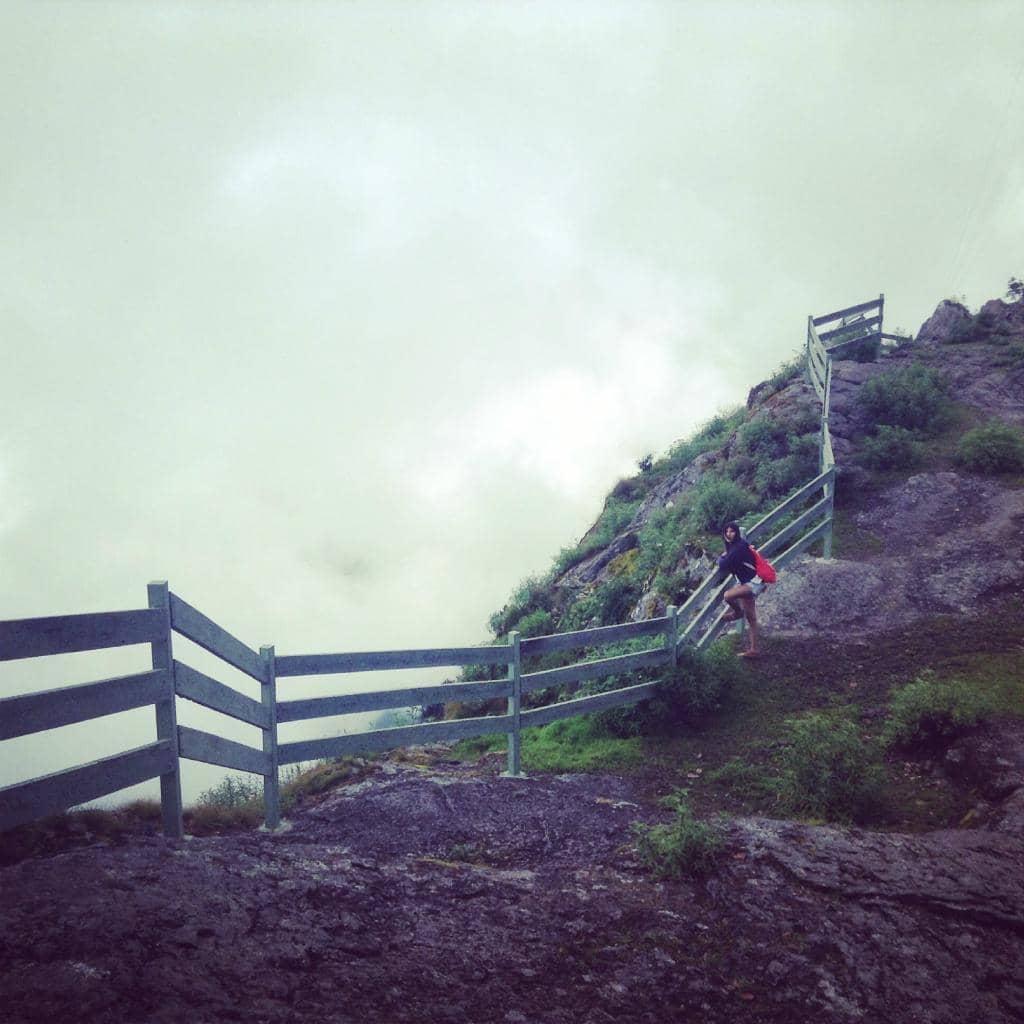 Vertical photo