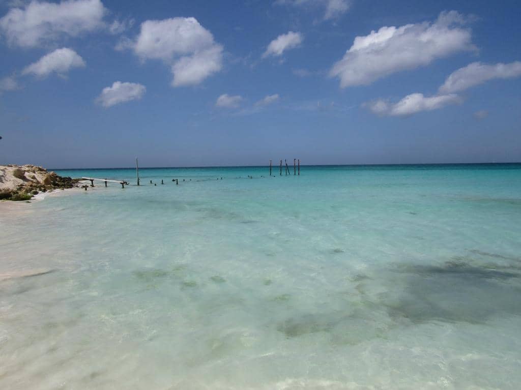 Serene Ocean Views