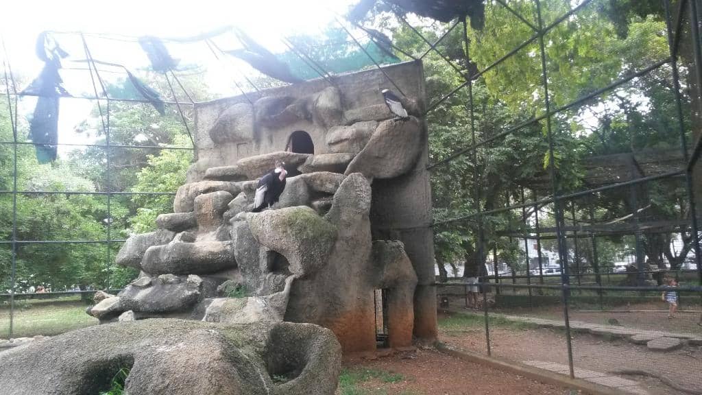 Family-Friendly Atmosphere