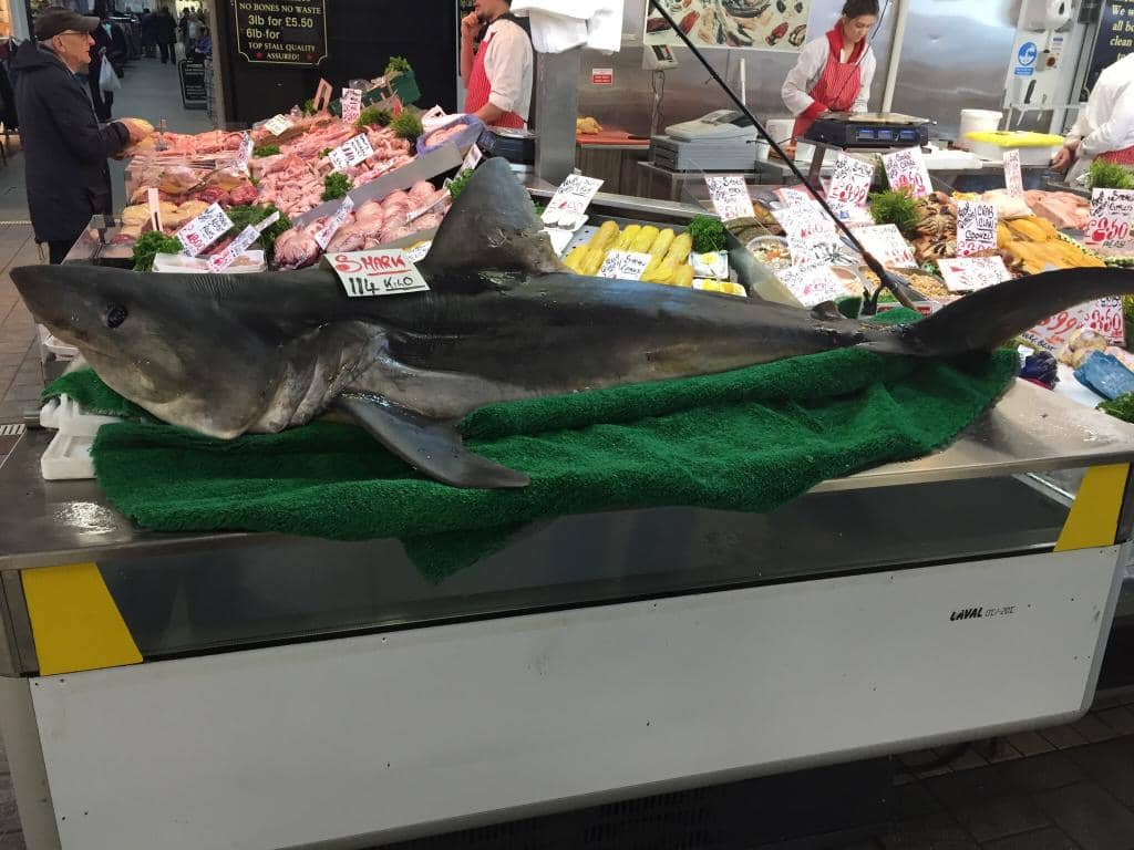 Fresh Produce & Seafood
