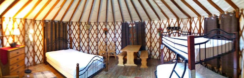 Apalachicola River Bluffs