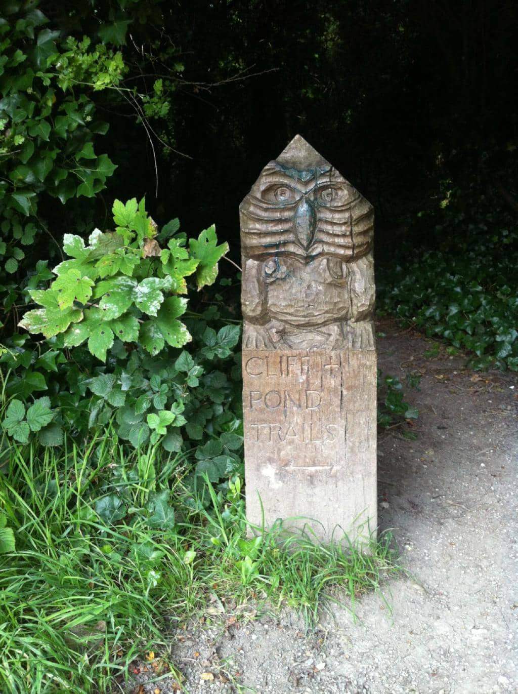 Vertical photo