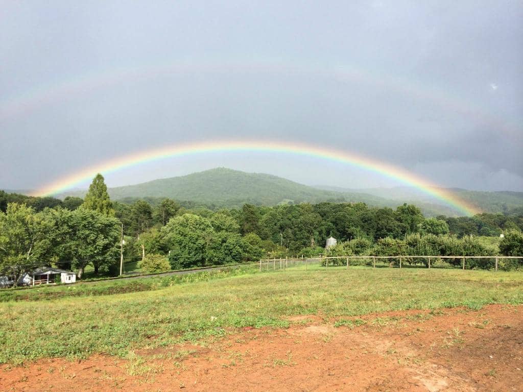 Petting Zoo & Farm Animals