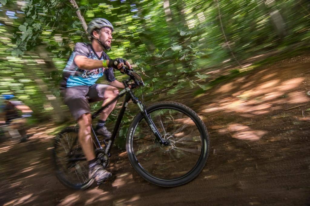 Stanmer Woods Bluebells