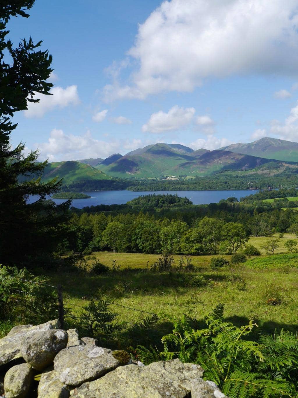 Panoramic Derwentwater Views