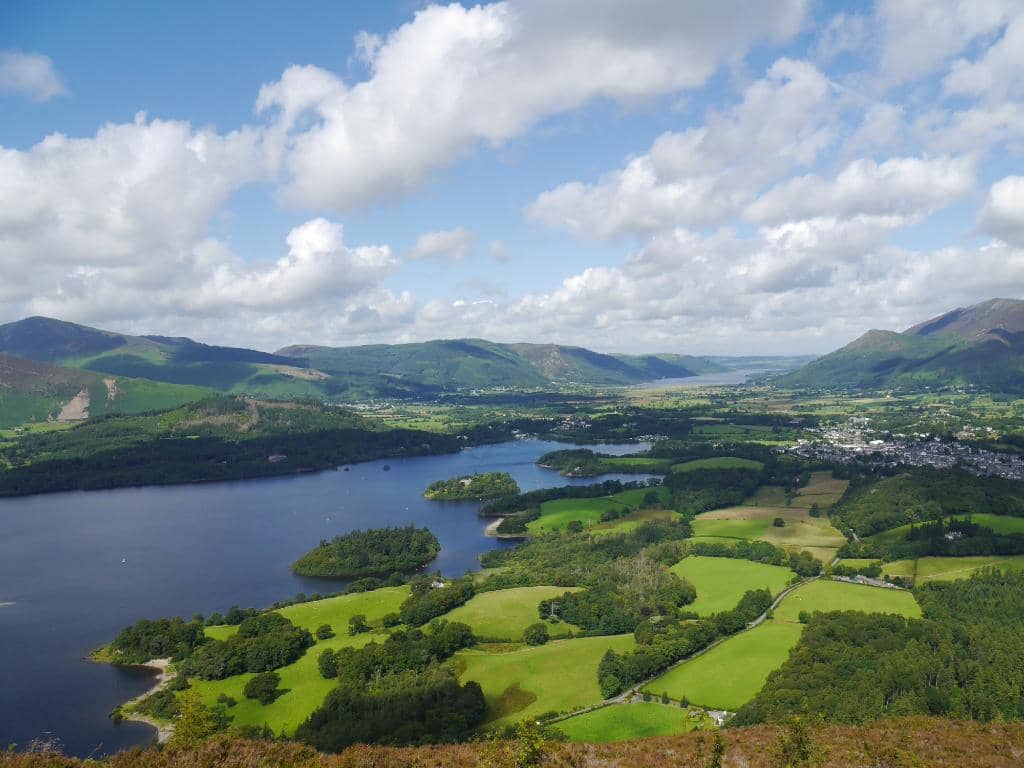 Wainwright Bagging