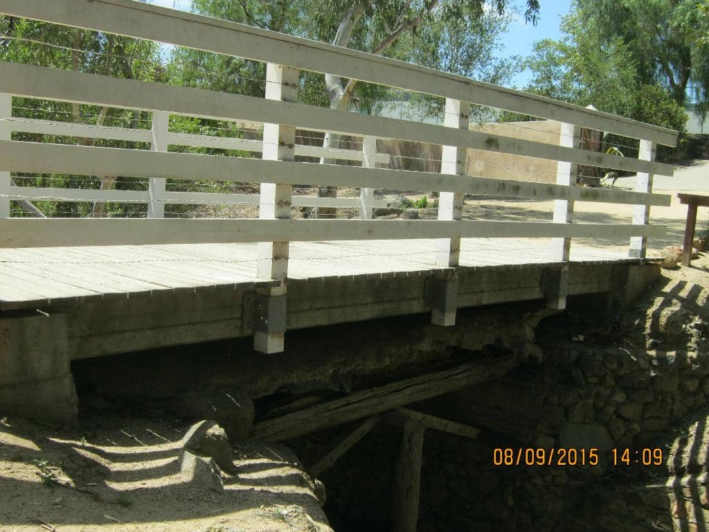 The Roaming Peacocks