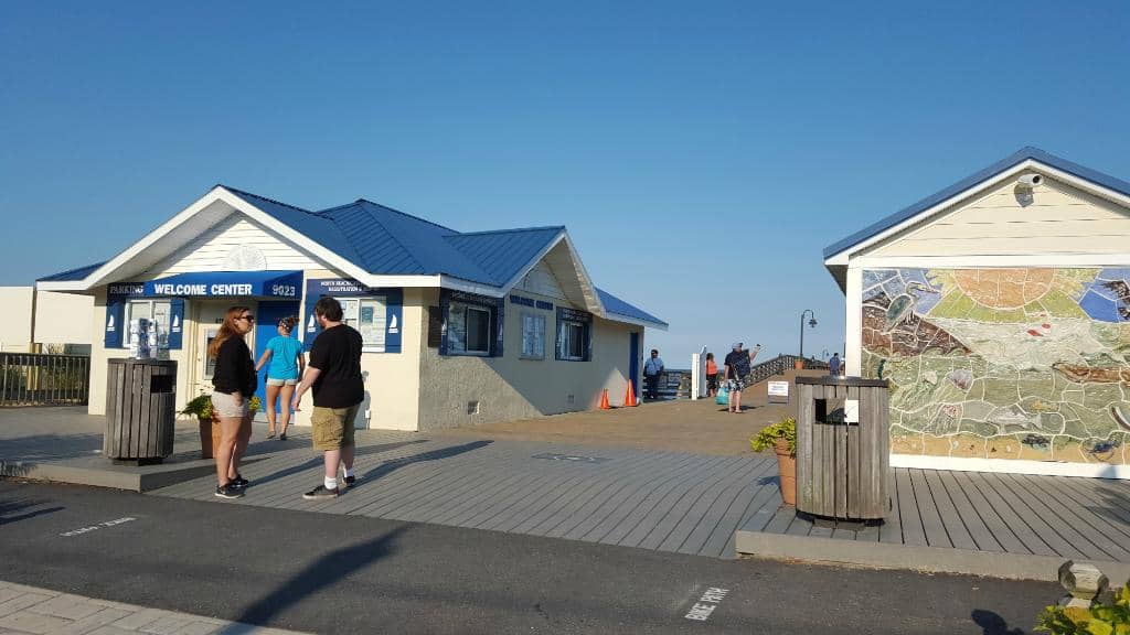 San Francisco's Eclectic Charm