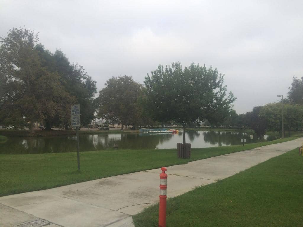 Playground & Picnic Areas