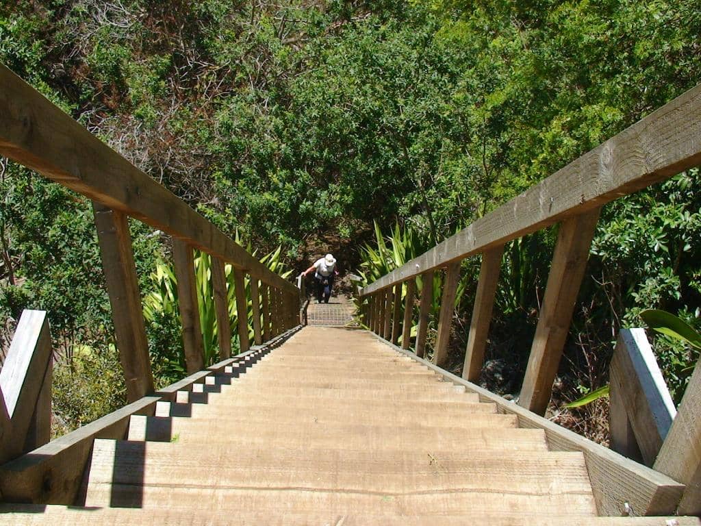 Scenic Hiking Trails