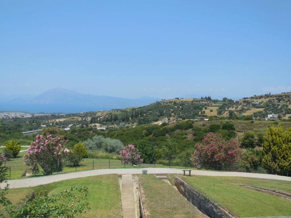 Well-Maintained Gardens