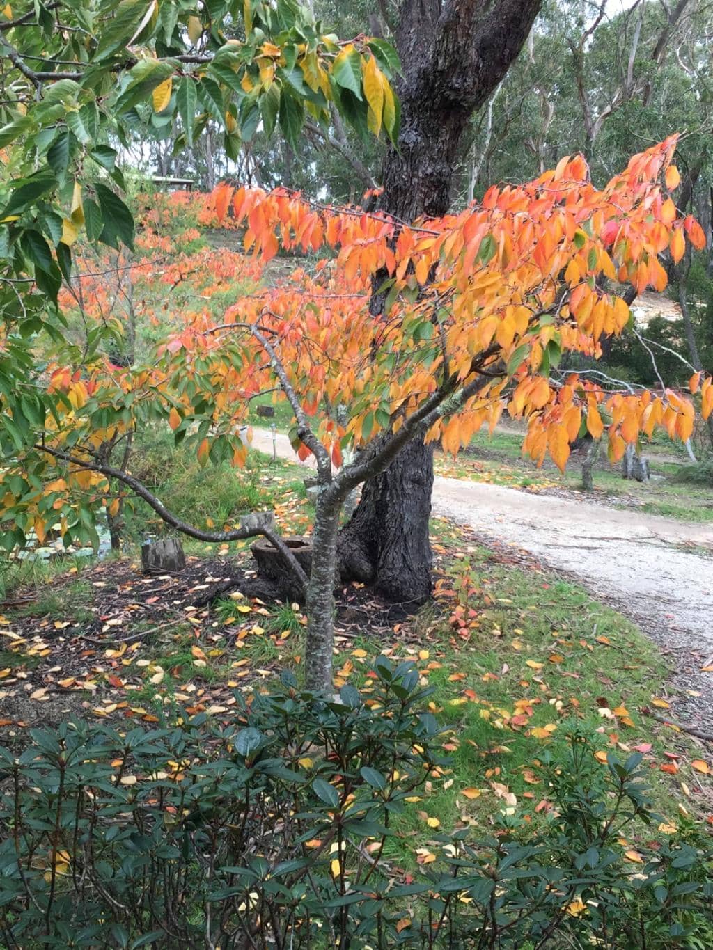 Spiritual Significance