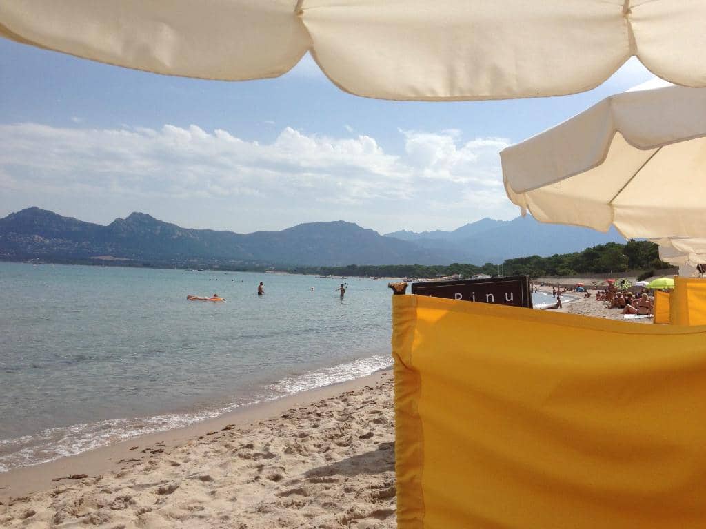 Train Ride by the Sea