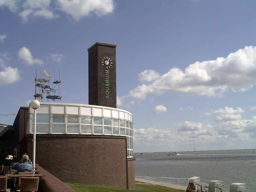 Bird Aviary