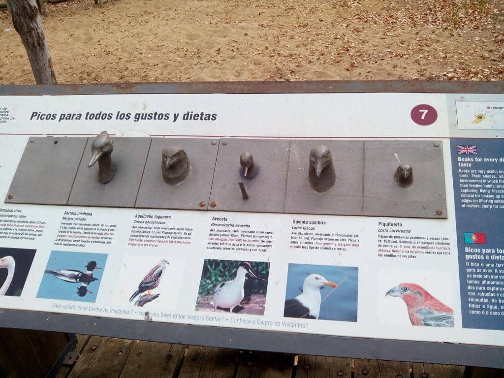 Diverse Birdlife