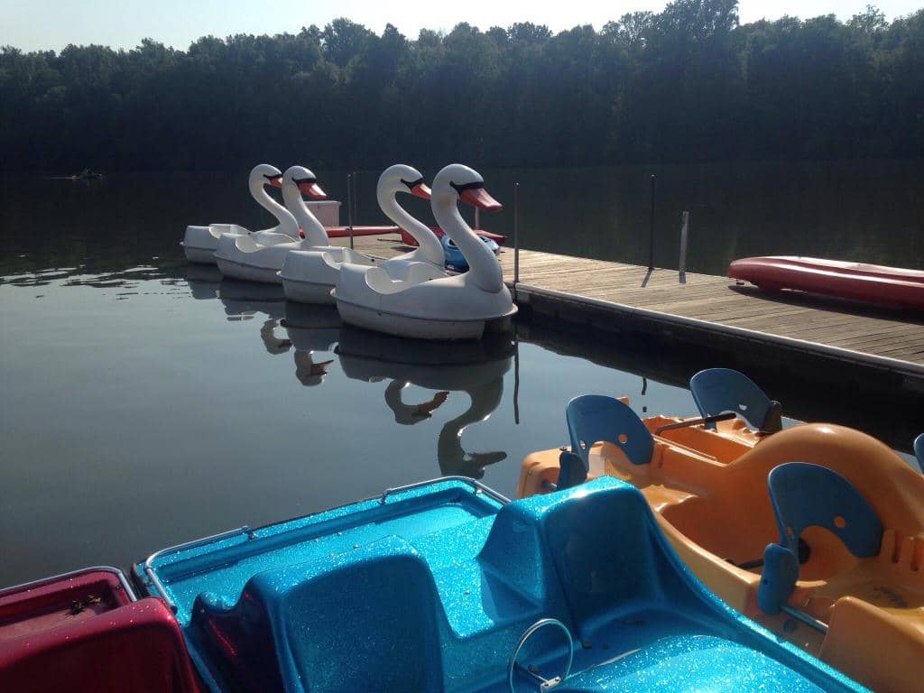 Wooded Hiking Trails