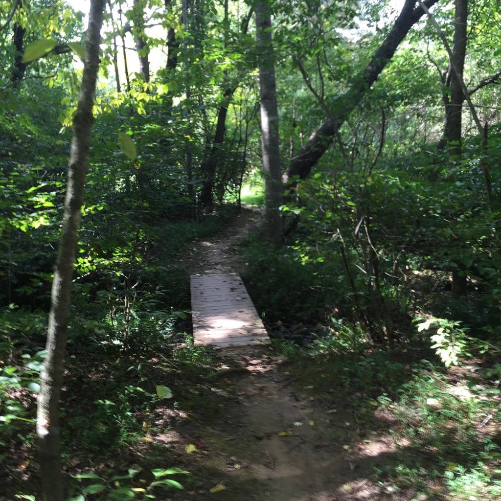 Walking Trails & Exercise Modules