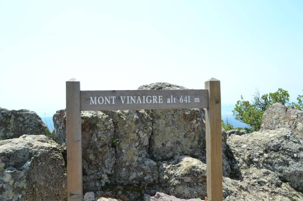 Coastal Vistas
