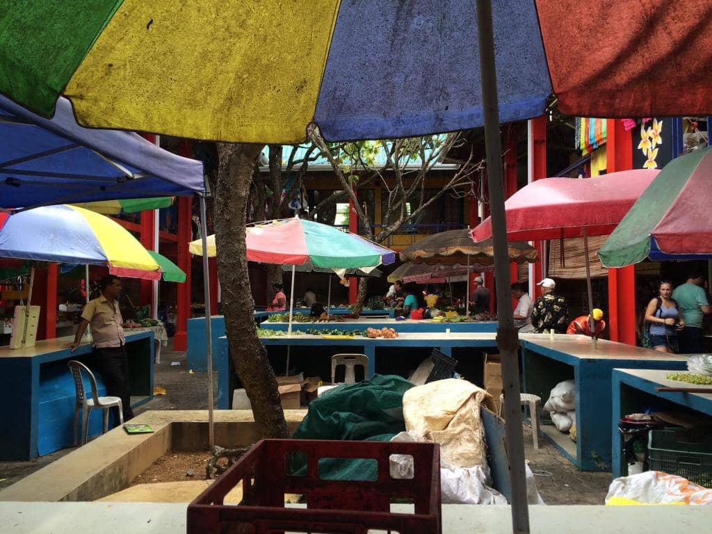 Vibrant Morning Market