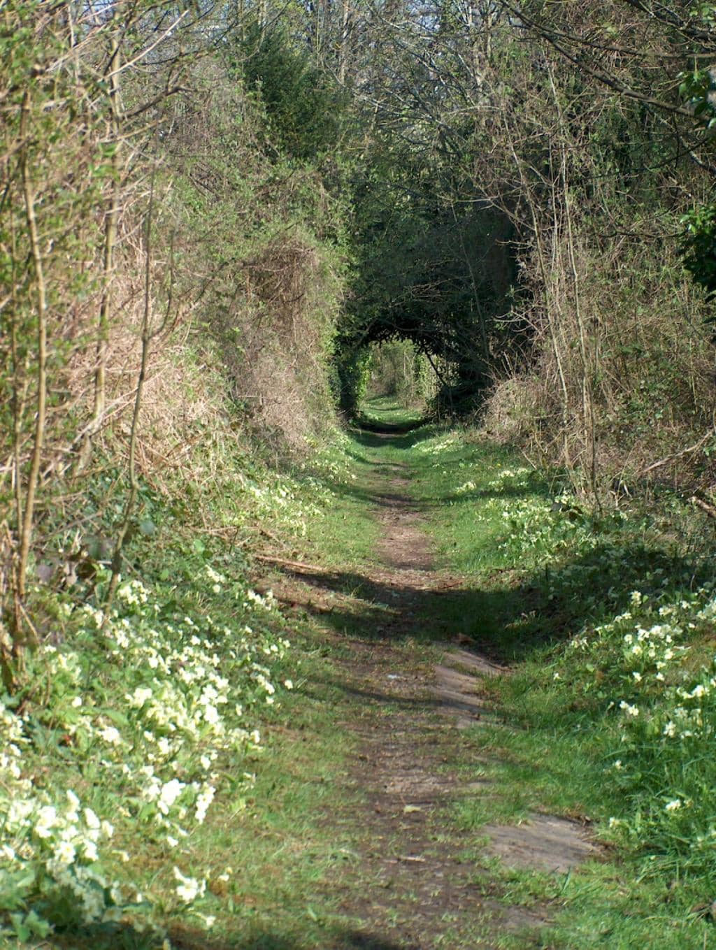 Victorian Mausoleums