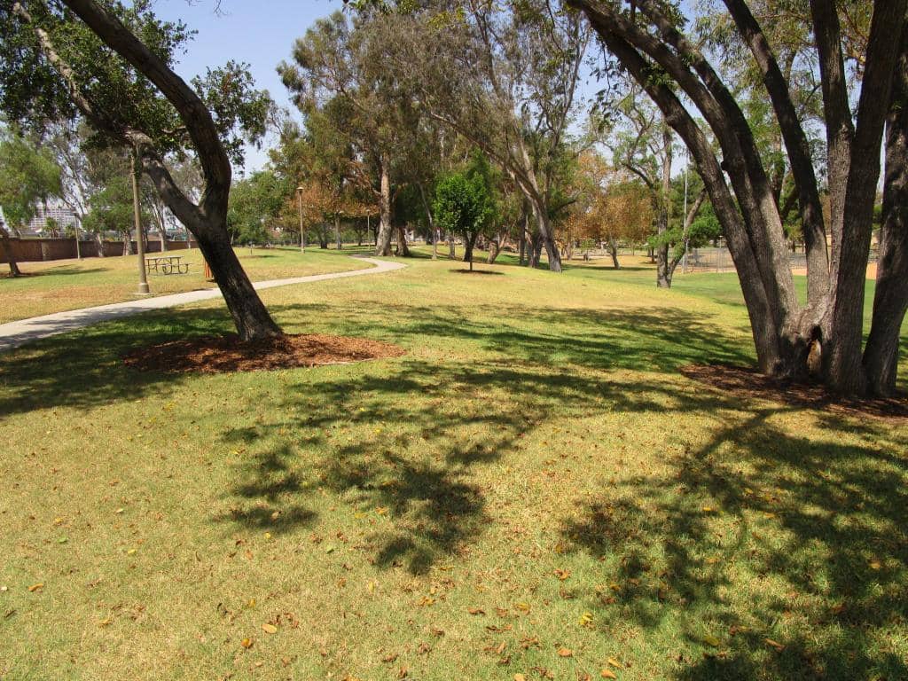 Seasonal Community Pool