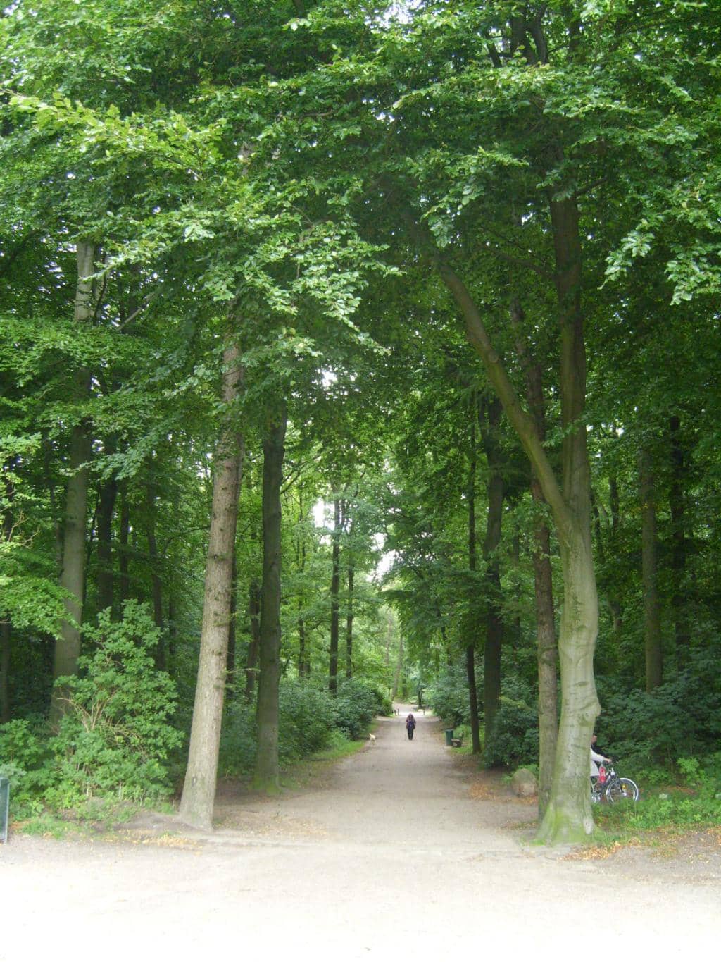Vertical photo